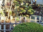 20090405232206_5.jpg