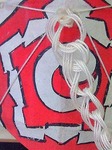 20100124234305_2.jpg