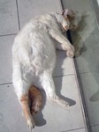 20100215230500_5.jpg