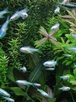 20100216223119_3.jpg