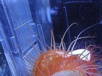 20100216223433_3.jpg