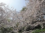 20100408221427_4.jpg