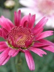 20100411232027_2.jpg
