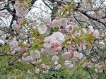 20100420230302_4.jpg