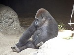 20100610212938_2.jpg