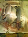 20100821225307_3.jpg