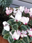 20101014234958_2.jpg